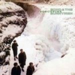 Echo-the-Bunnymen-Porcupine