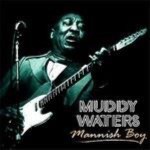 Muddy-Waters-Mannish-Boy