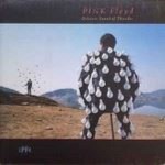 Pink-Floyd-Delicate-sound-of-thunder-1988