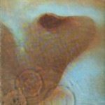 Pink-Floyd-Meddle