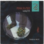 Pink-Floyd-Learning-to-fly