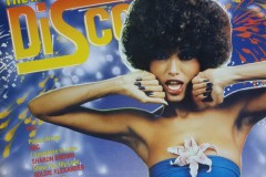 The-magic-touch-of-disco