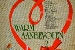 Warm-aanbevolen-2